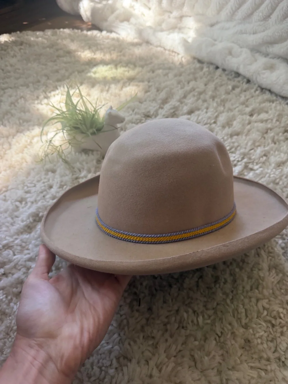 Soft Neutral Buffalo days Regina Tan Felt Ranch Hat with Decorative Cord 7 3/4 t